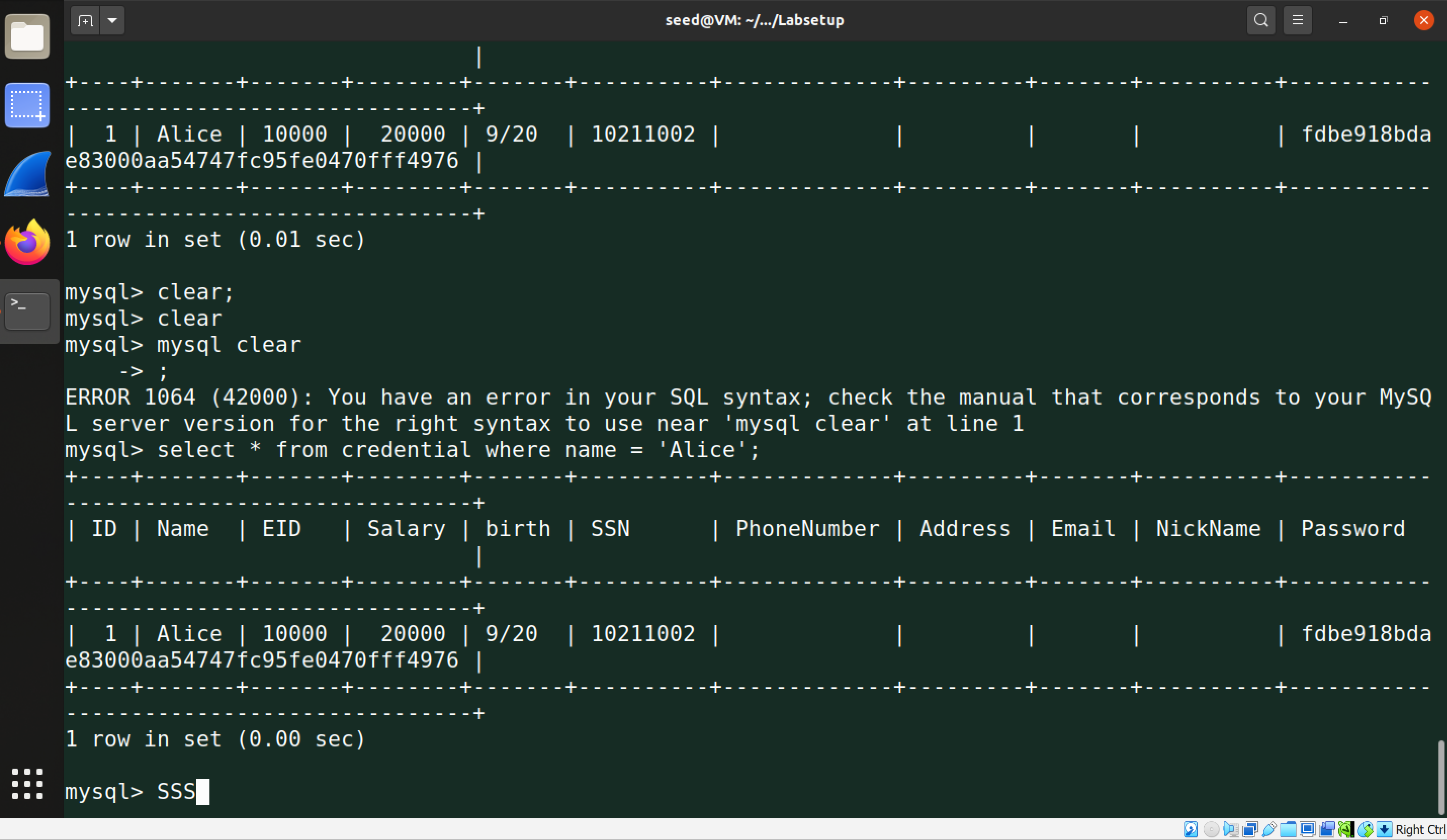 终端内打印Alice信息