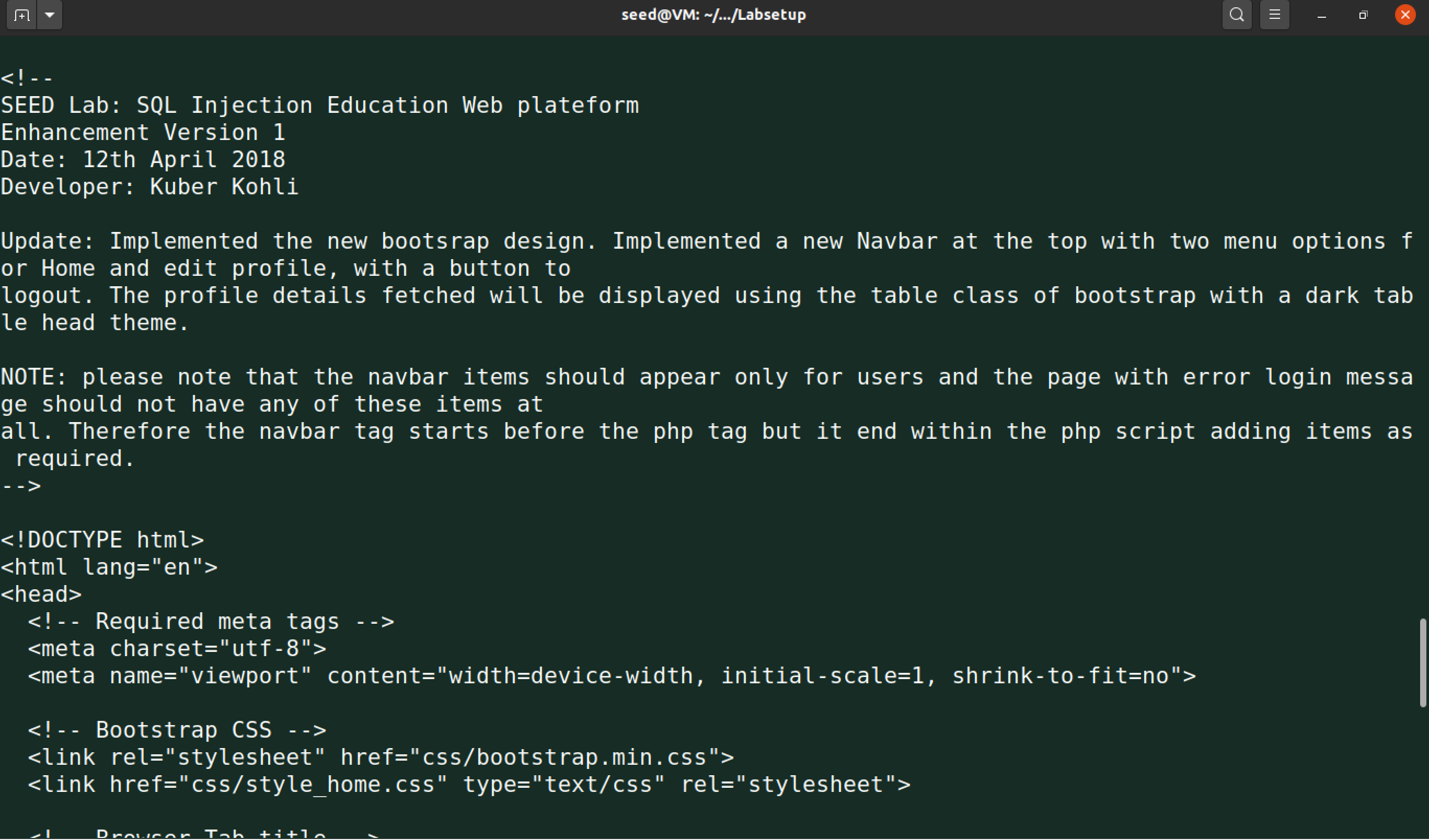 任务2.2终端运行